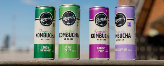 How much kombucha should I drink? And how often?