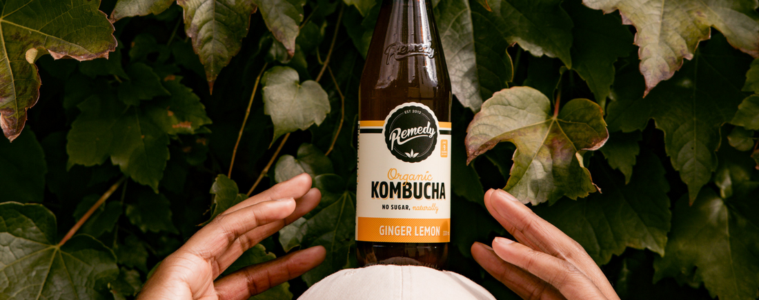 Ginger Lemon Kombucha - Flavour Deep Dive