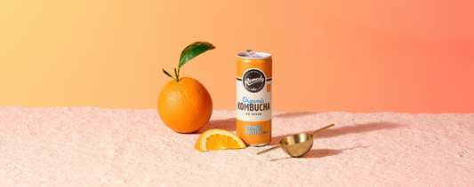 Your Kombucha Questions Answered