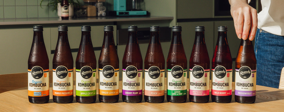 Remedy Kombucha College: The History of Kombucha