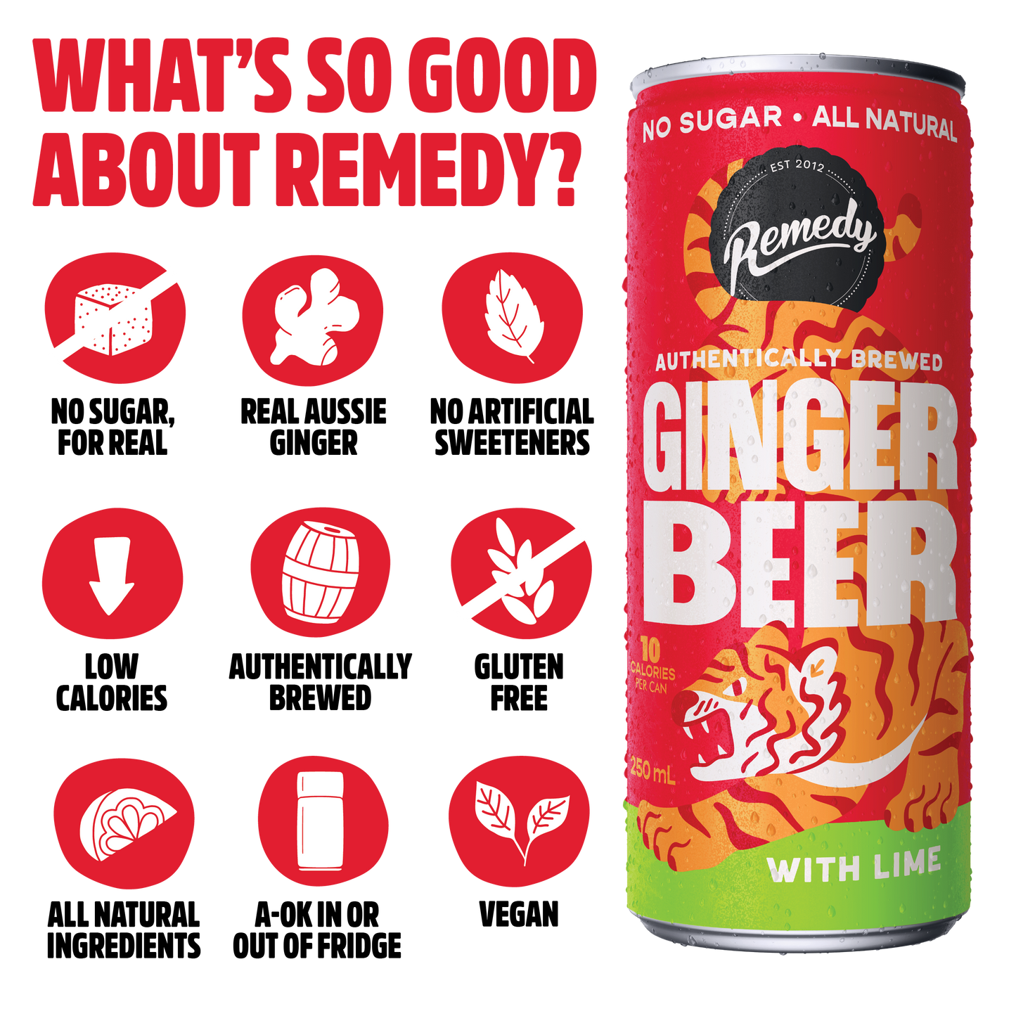 Remedy Ginger Beer With Lime