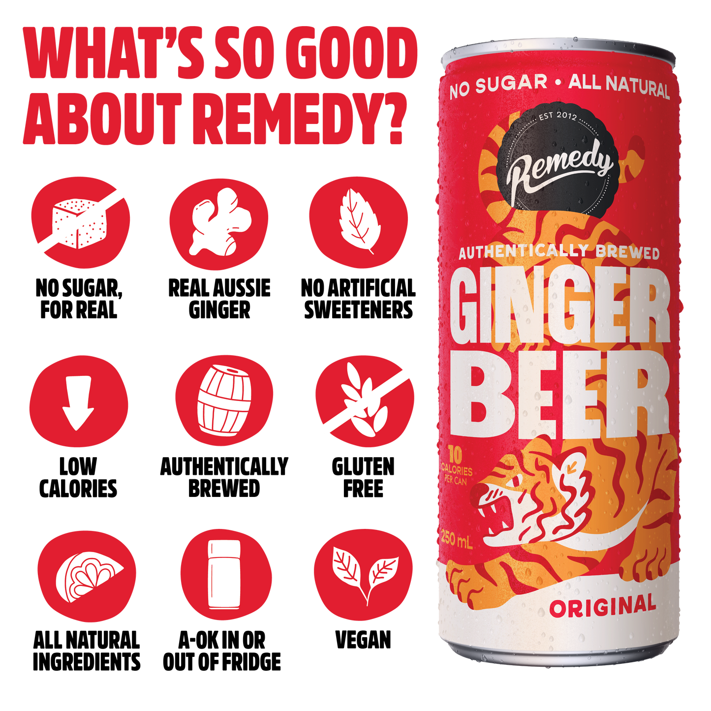 Remedy Ginger Beer Original