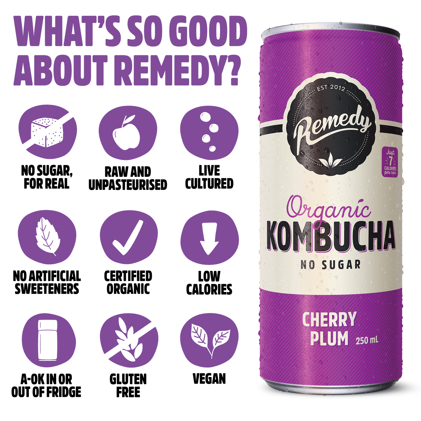 Remedy Kombucha Mixed Case