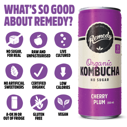 Remedy Kombucha Mixed Case