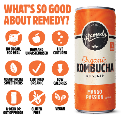 Remedy Kombucha Fruity Faves