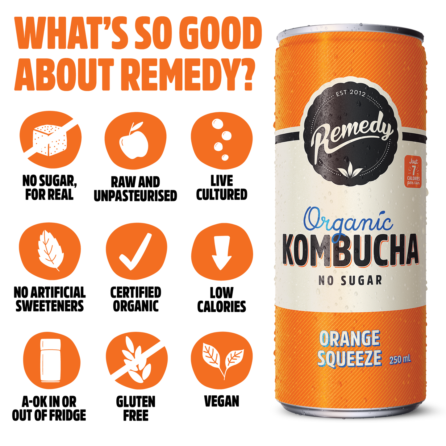 Remedy Kombucha Orange Squeeze