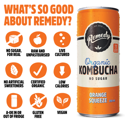 Remedy Kombucha Orange Squeeze
