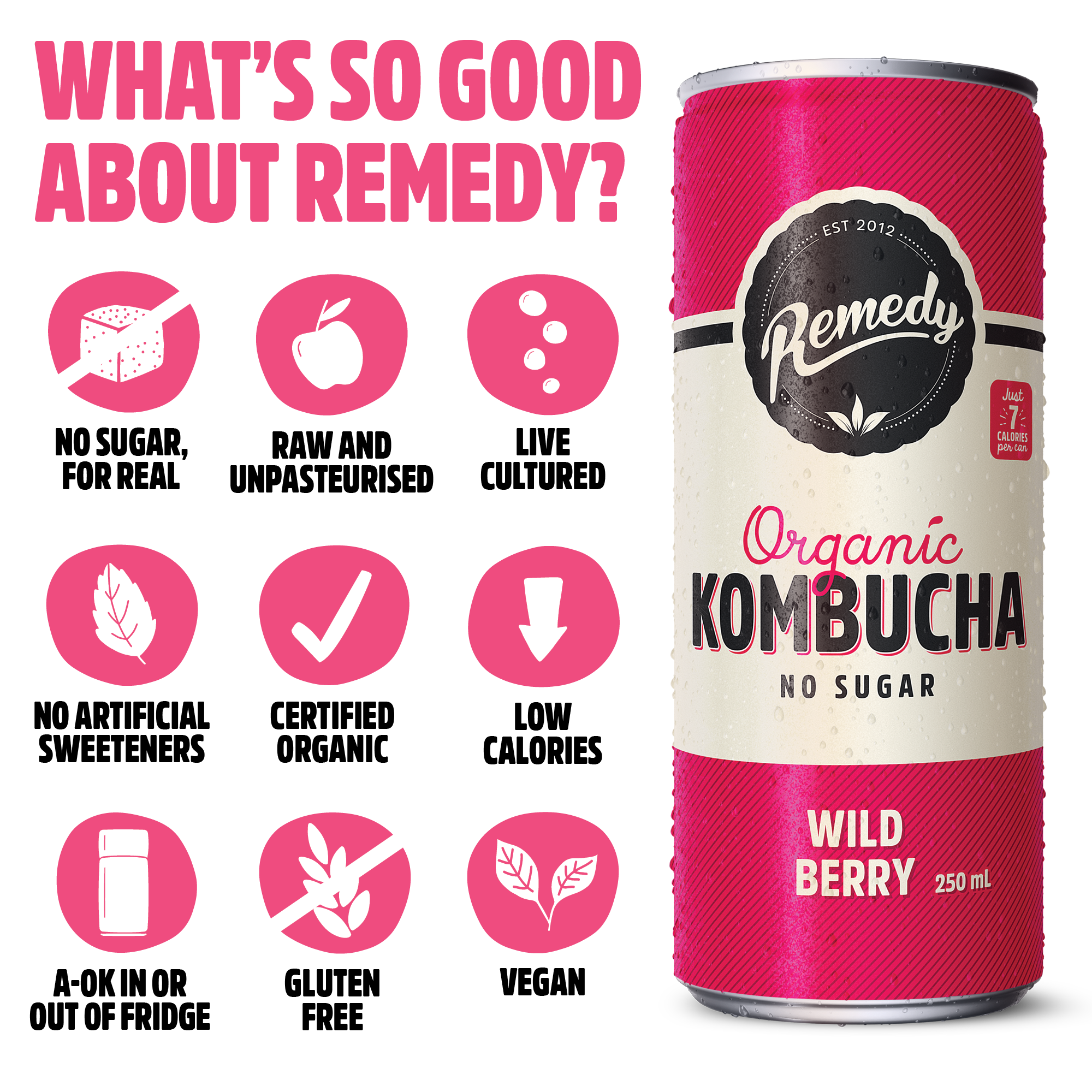 Wild Berry Kombucha | Vegan Friendly | Remedy Kombucha - Remedy Drinks
