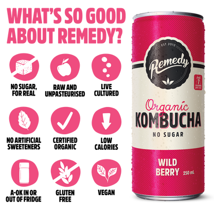Remedy Kombucha Wild Berry