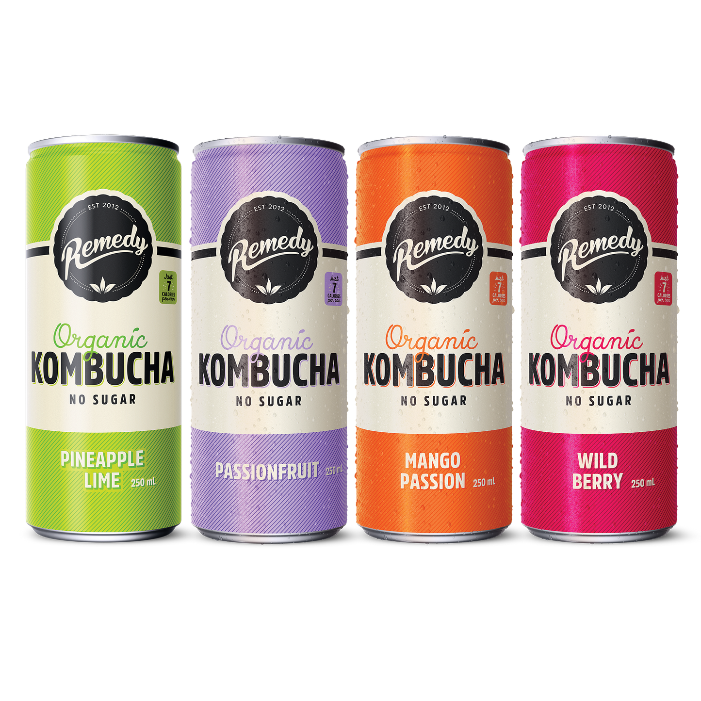 Remedy Kombucha Fruity Faves