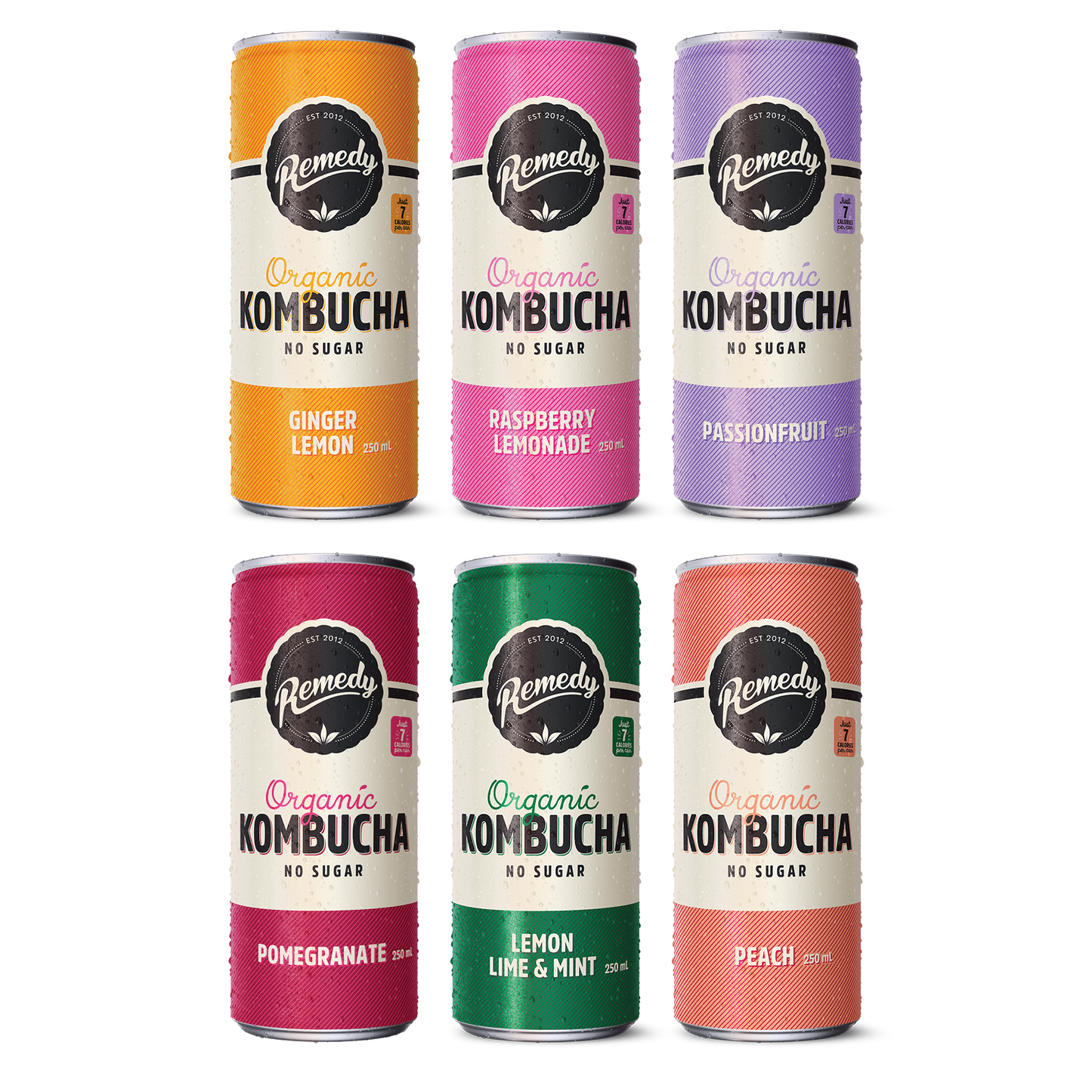 Remedy Kombucha Mixed Case