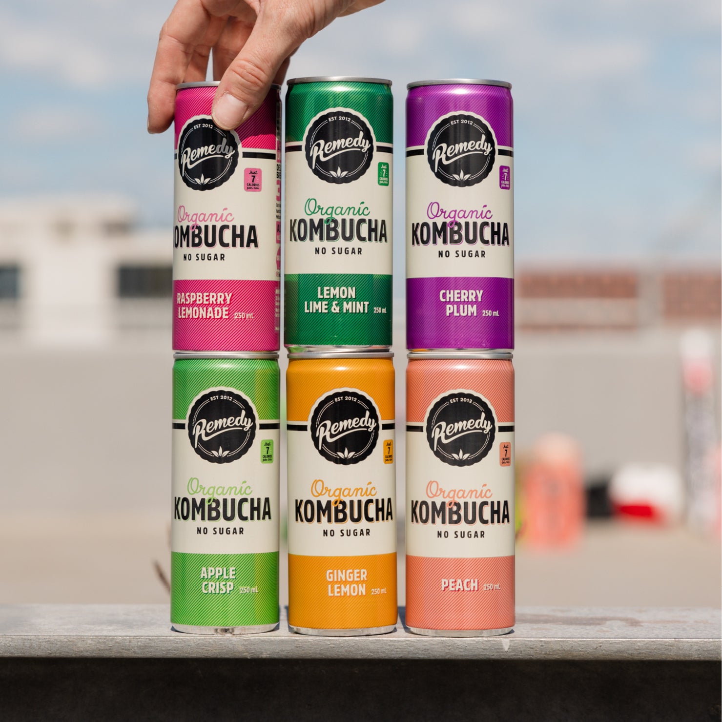 Kombucha Mixed Case | Natural flavours | Remedy Kombucha – Remedy Drinks