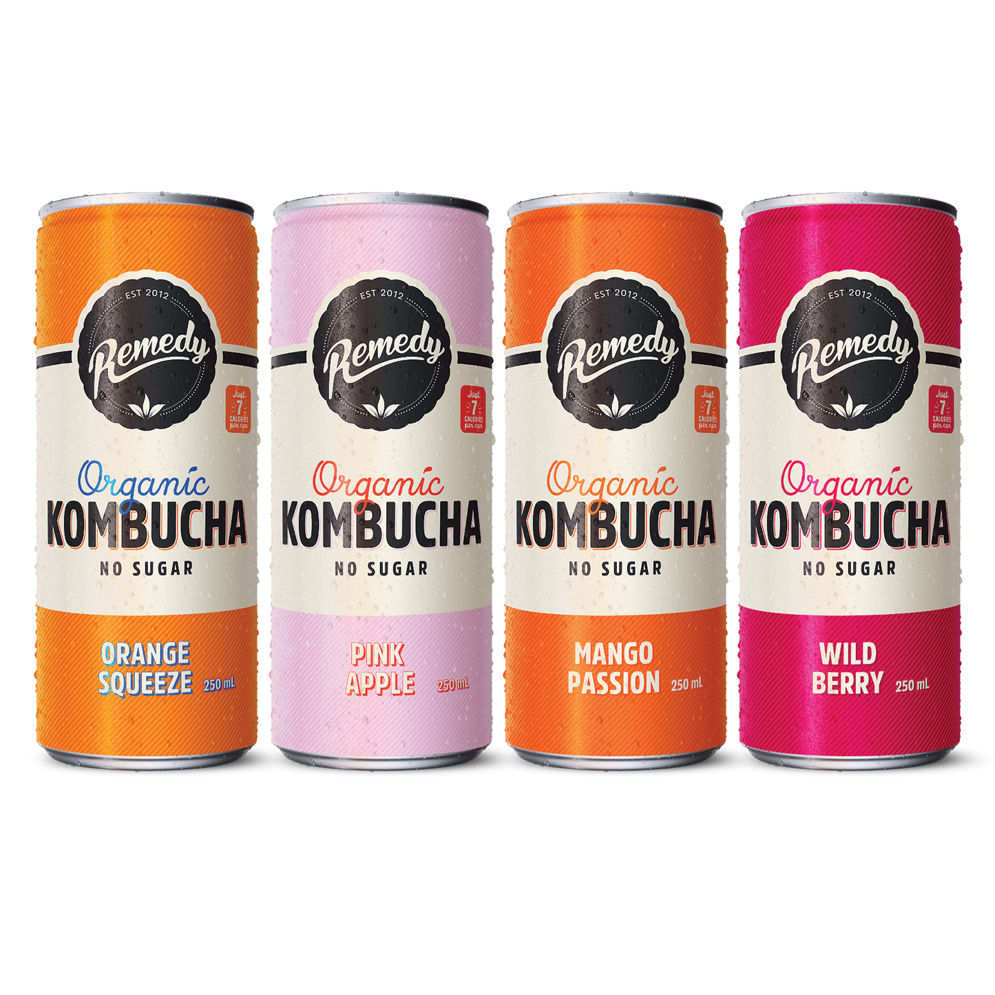 Remedy Kombucha Fruity Faves