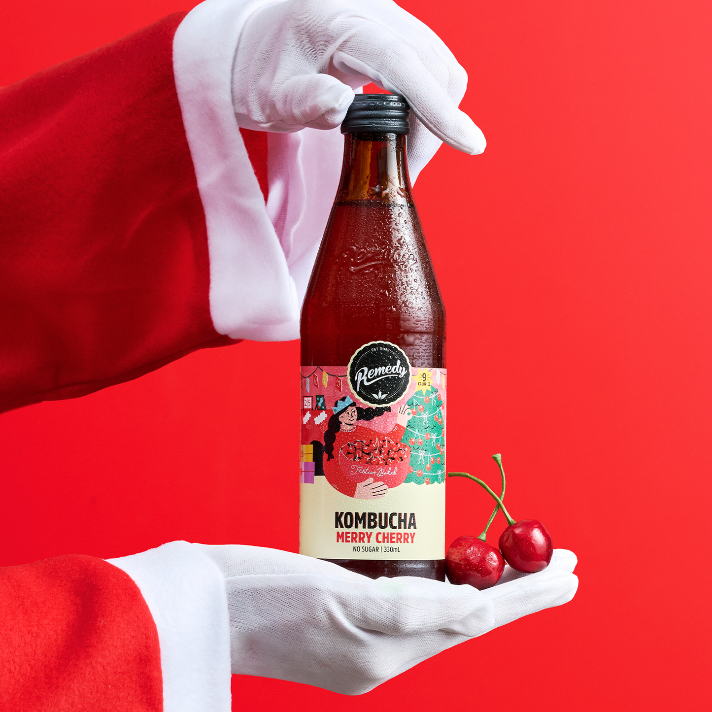 Remedy Kombucha Festive Batch Mixed Case