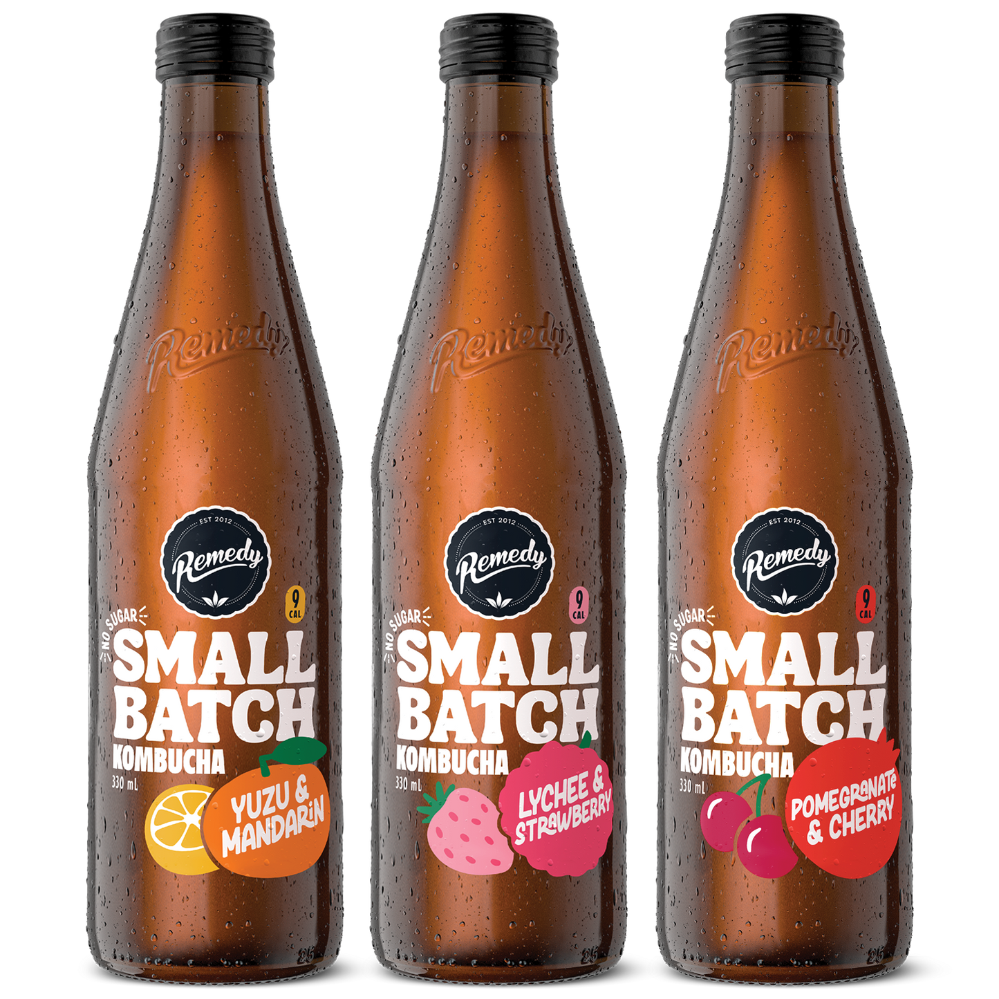 Remedy Kombucha Small Batch Mixed Case