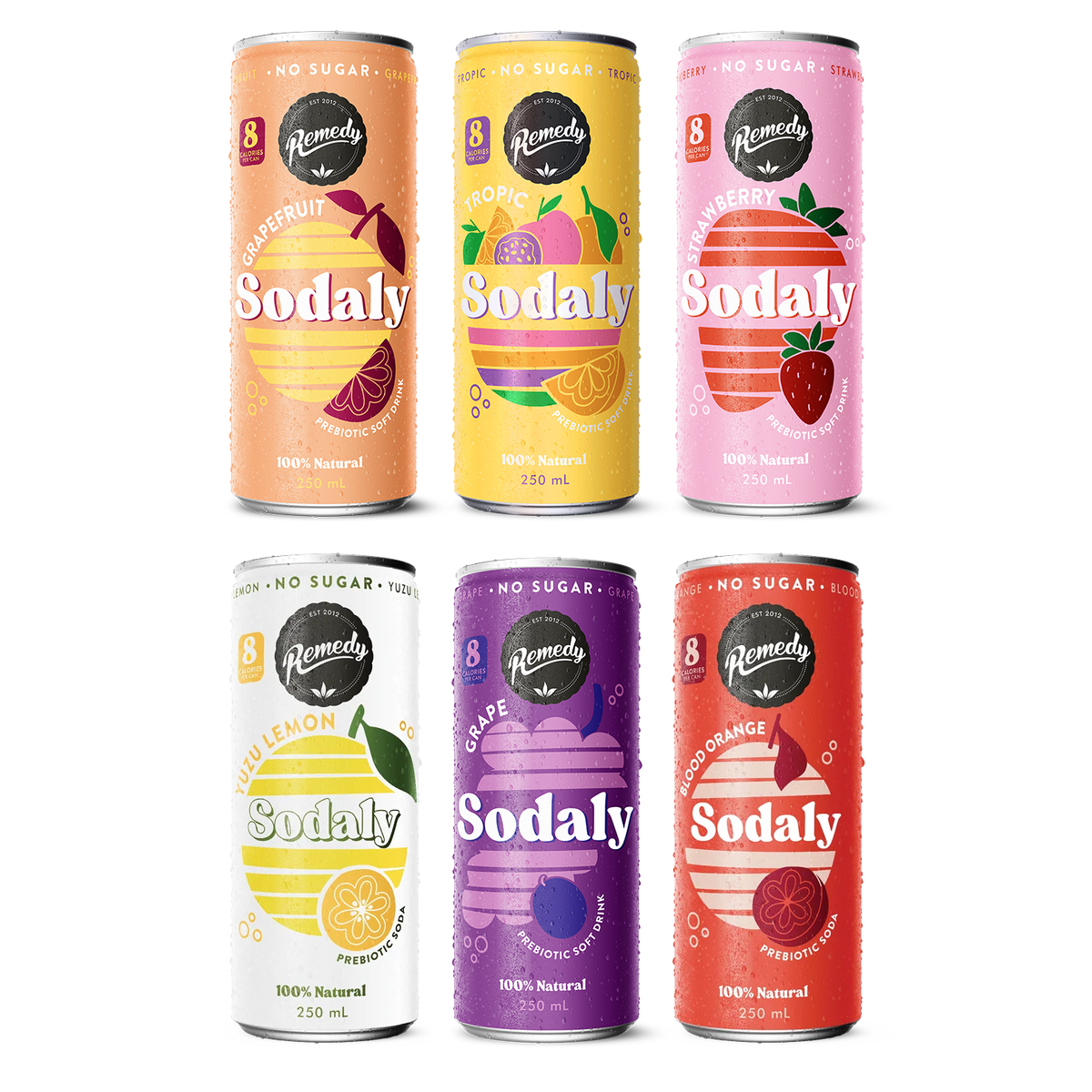 Remedy Sodaly Faves & New Flaves Mixed Case