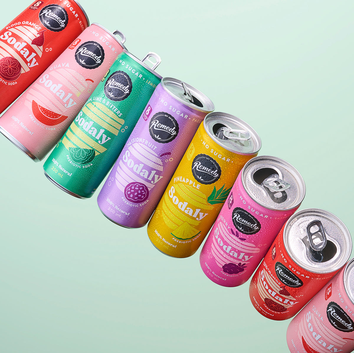 Sodaly Mixed Case | Sugar Free Soft Drinks | Remedy Drinks